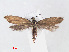  ( - RMNH.INS.540929)  @13 [ ] Unspecified (default): All Rights Reserved  Unspecified Unspecified