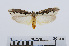  ( - RMNH.INS.540959)  @13 [ ] Unspecified (default): All Rights Reserved  Unspecified Unspecified