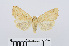  ( - RMNH.INS.540982)  @13 [ ] Unspecified (default): All Rights Reserved  Unspecified Unspecified