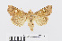  ( - RMNH.INS.541010)  @11 [ ] Unspecified (default): All Rights Reserved  Unspecified Unspecified