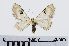  ( - RMNH.INS.541054)  @13 [ ] Unspecified (default): All Rights Reserved  Unspecified Unspecified