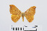  ( - RMNH.INS.541062)  @13 [ ] Unspecified (default): All Rights Reserved  Unspecified Unspecified
