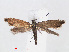  ( - RMNH.INS.540928)  @13 [ ] Unspecified (default): All Rights Reserved  Unspecified Unspecified