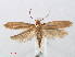  ( - RMNH.INS.538689)  @14 [ ] Unspecified (default): All Rights Reserved  Unspecified Unspecified