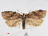  ( - RMNH.INS.540678)  @14 [ ] Unspecified (default): All Rights Reserved  Unspecified Unspecified