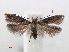  ( - RMNH.INS.540802)  @14 [ ] Unspecified (default): All Rights Reserved  Unspecified Unspecified