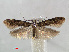  ( - RMNH.INS.540905)  @13 [ ] Unspecified (default): All Rights Reserved  Unspecified Unspecified