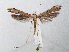  ( - RMNH.INS.540934)  @14 [ ] Unspecified (default): All Rights Reserved  Unspecified Unspecified