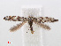  ( - RMNH.INS.544343)  @13 [ ] Unspecified (default): All Rights Reserved  Unspecified Unspecified