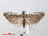  ( - RMNH.INS.544402)  @13 [ ] Unspecified (default): All Rights Reserved  Unspecified Unspecified