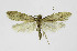  ( - KBE 2024001)  @11 [ ] Creative Commons  Attribution Non-Commercial Share-Alike (2024) Kai Berggren NTNU University Museum, Department of Natural History