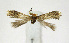  ( - KBE 2018711)  @11 [ ] Creative Commons  Attribution Non-Commercial Share-Alike (2019) Kai Berggren NTNU University Museum, Department of Natural History