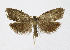  ( - KBE 2018713)  @13 [ ] Creative Commons  Attribution Non-Commercial Share-Alike (2019) Kai Berggren NTNU University Museum, Department of Natural History