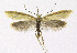  ( - KBE 2019098)  @11 [ ] Creative Commons  Attribution Non-Commercial Share-Alike (2019) Kai Berggren NTNU University Museum, Department of Natural History
