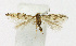  ( - KBE 2019123)  @11 [ ] Creative Commons  Attribution Non-Commercial Share-Alike (2019) Kai Berggren NTNU University Museum, Department of Natural History