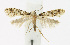 ( - KBE 2019148)  @11 [ ] Creative Commons  Attribution Non-Commercial Share-Alike (2019) Kai Berggren NTNU University Museum, Department of Natural History