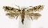  ( - KBE 2019150)  @11 [ ] Creative Commons  Attribution Non-Commercial Share-Alike (2019) Kai Berggren NTNU University Museum, Department of Natural History