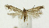  ( - KBE 2019183)  @11 [ ] Creative Commons  Attribution Non-Commercial Share-Alike (2019) Kai Berggren NTNU University Museum, Department of Natural History