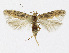  ( - KBE 2019190)  @11 [ ] Creative Commons  Attribution Non-Commercial Share-Alike (2019) Kai Berggren NTNU University Museum, Department of Natural History