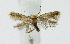  ( - KBE 2019244)  @11 [ ] Creative Commons  Attribution Non-Commercial Share-Alike (2019) Kai Berggren NTNU University Museum, Department of Natural History