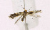  ( - KBE 2019253)  @11 [ ] Creative Commons  Attribution Non-Commercial Share-Alike (2019) Kai Berggren NTNU University Museum, Department of Natural History