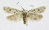  ( - KBE 2019311)  @11 [ ] Creative Commons  Attribution Non-Commercial Share-Alike (2019) Kai Berggren NTNU University Museum, Department of Natural History