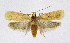  ( - KBE 2019316)  @11 [ ] Creative Commons  Attribution Non-Commercial Share-Alike (2019) Kai Berggren NTNU University Museum, Department of Natural History