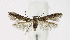  ( - KBE 2019332)  @14 [ ] Creative Commons  Attribution Non-Commercial Share-Alike (2019) Kai Berggren NTNU University Museum, Department of Natural History