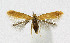  ( - KBE 2019334)  @11 [ ] Creative Commons  Attribution Non-Commercial Share-Alike (2019) Kai Berggren NTNU University Museum, Department of Natural History