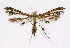  ( - KBE 2019354)  @11 [ ] Creative Commons  Attribution Non-Commercial Share-Alike (2019) Kai Berggren NTNU University Museum, Department of Natural History