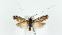  ( - KBE 2019360)  @11 [ ] Creative Commons  Attribution Non-Commercial Share-Alike (2019) Kai Berggren NTNU University Museum, Department of Natural History