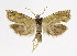  ( - KBE 2019386)  @11 [ ] Creative Commons  Attribution Non-Commercial Share-Alike (2019) Kai Berggren NTNU University Museum, Department of Natural History