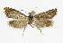  ( - KBE 2019394)  @11 [ ] Creative Commons  Attribution Non-Commercial Share-Alike (2019) Kai Berggren NTNU University Museum, Department of Natural History