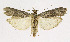  ( - KBE 2019411)  @11 [ ] Creative Commons  Attribution Non-Commercial Share-Alike (2019) Kai Berggren NTNU University Museum, Department of Natural History