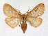  ( - KBE 2019467)  @11 [ ] Creative Commons  Attribution Non-Commercial Share-Alike (2019) Kai Berggren NTNU University Museum, Department of Natural History