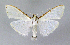  ( - KBE 2020050)  @12 [ ] CreativeCommons Attribution NonCommercial ShareAlike (2020) Kai Berggren NTNU University Museum, Department of Natural History