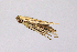  ( - KBE 2020059)  @11 [ ] CreativeCommons Attribution NonCommercial ShareAlike (2020) Kai Berggren NTNU University Museum, Department of Natural History