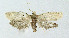  ( - KBE_2021146)  @11 [ ] Creative Commons  Attribution Non-Commercial Share-Alike (2022) Kai Berggren NTNU University Museum, Department of Natural History