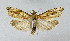  ( - KBE_2022016)  @11 [ ] Creative Commons  Attribution Non-Commercial Share-Alike (2022) Kai Berggren NTNU University Museum, Department of Natural History