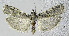  ( - KBE_2022032)  @11 [ ] Creative Commons  Attribution Non-Commercial Share-Alike (2022) Kai Berggren NTNU University Museum, Department of Natural History