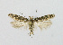  ( - KBE_2022054)  @11 [ ] Creative Commons  Attribution Non-Commercial Share-Alike (2023) Kai Berggren NTNU University Museum, Department of Natural History