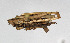  ( - KBE_2022064)  @11 [ ] Creative Commons  Attribution Non-Commercial Share-Alike (2023) Kai Berggren NTNU University Museum, Department of Natural History