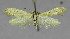  ( - KBE_2023051)  @11 [ ] Creative Commons  Attribution Non-Commercial Share-Alike (2024) Kai Berggren NTNU University Museum, Department of Natural History