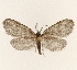  ( - PKS_202302)  @11 [ ] Copyright (2024) Per Kristian Slagsvoll Unspecified