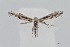  ( - RVO_202310)  @11 [ ] Copyright (2024) Reidar Voith Unspecified