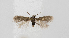  ( - RVO 202403)  @11 [ ] Copyright (2024) Reidar Voith Unspecified