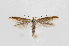  ( - RVO 202405)  @11 [ ] Copyright (2024) Reidar Voith Unspecified