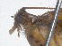  ( - RMNH.5009084)  @11 [ ] CreativeCommons - Attribution Non-Commercial Share-Alike (2018) Unspecified Naturalis Biodiversity Center