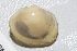  ( - RMNH.5009269)  @11 [ ] CreativeCommons - Attribution Non-Commercial Share-Alike (2018) Unspecified Naturalis Biodiversity Center
