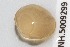  ( - RMNH.5009299)  @11 [ ] CreativeCommons - Attribution Non-Commercial Share-Alike (2018) Unspecified Naturalis Biodiversity Center